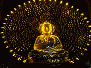 Sri Lanka 2008
