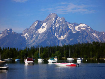 Tetonsy