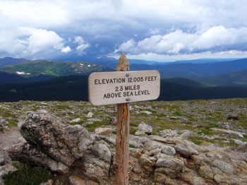 Fall River Pass