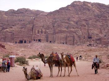 Cd Petra